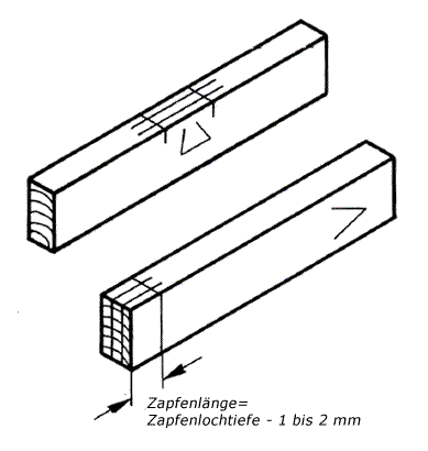 Gestemmter Zapfen